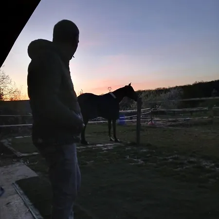 Entier Lea Avec Petit Dejeuner Hilsprich