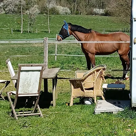 Entier Lea Avec Petit Déjeuner