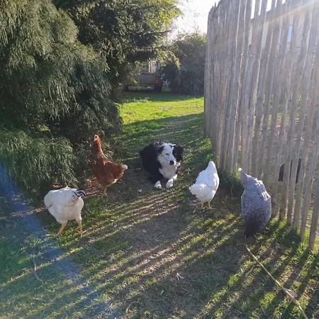 Entier Lea Avec Petit Dejeuner * Hilsprich