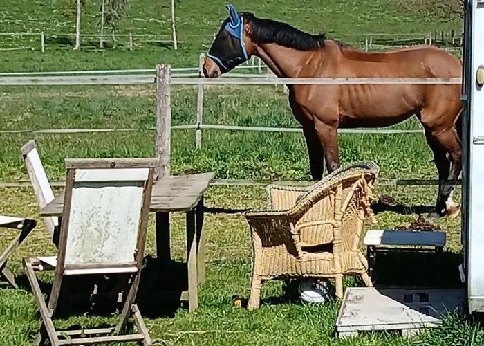 Entier Lea Avec Petit Dejeuner