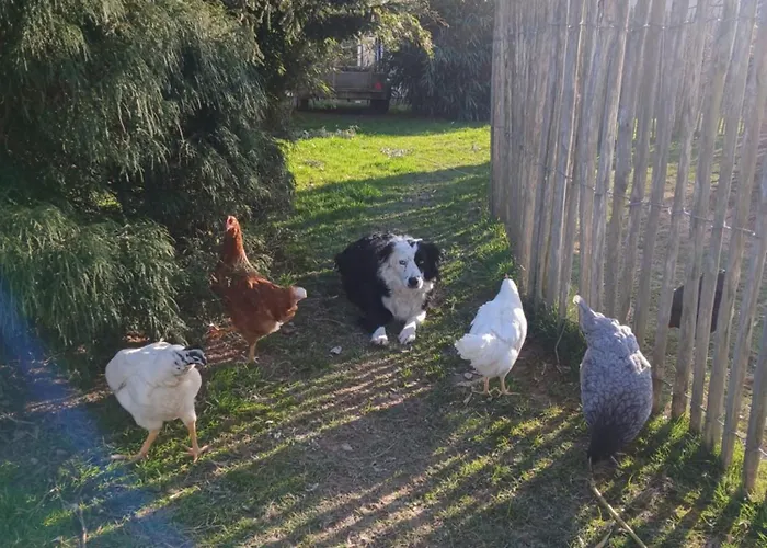 Entier Lea Avec Petit Dejeuner * Hilsprich